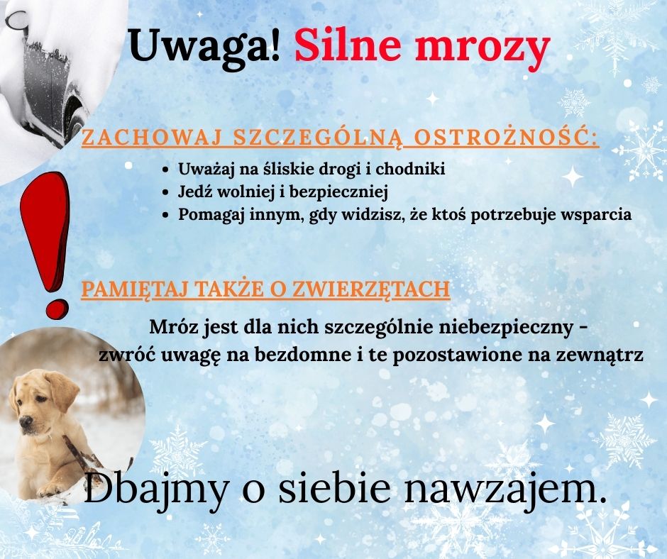 Zdjęcie: Uwaga ! Silne mrozy